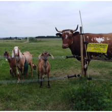 Електропастух COWBOY 4200 ECO MAX Електропастух COWBOY 4200 ECO MAX